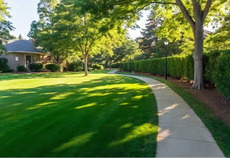 Lawn Care