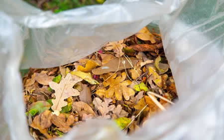 Leaf Management